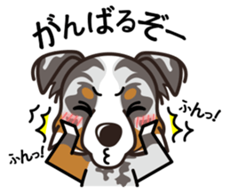 iinu - Australian Shepherd sticker #9223898