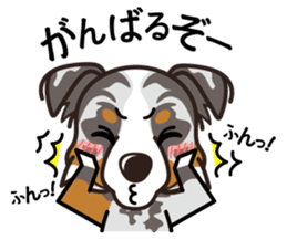 iinu - Australian Shepherd sticker #9223898