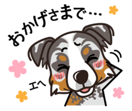 iinu - Australian Shepherd sticker #9223899