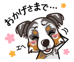 iinu - Australian Shepherd sticker #9223899