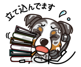 iinu - Australian Shepherd sticker #9223900