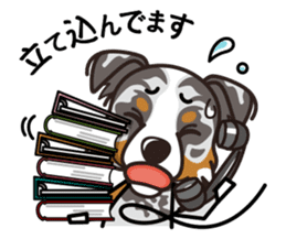 iinu - Australian Shepherd sticker #9223900