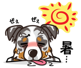 iinu - Australian Shepherd sticker #9223906