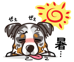 iinu - Australian Shepherd sticker #9223906