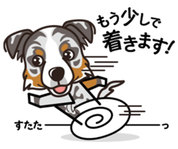 iinu - Australian Shepherd sticker #9223907