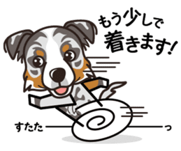 iinu - Australian Shepherd sticker #9223907