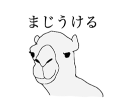 everyday camel sticker #9226196