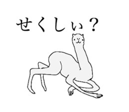 everyday camel sticker #9226198