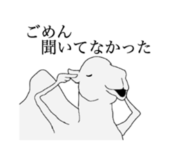 everyday camel sticker #9226200