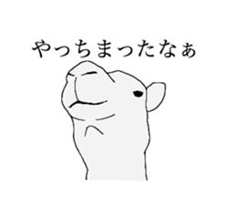 everyday camel sticker #9226202