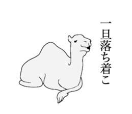 everyday camel sticker #9226208