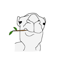 everyday camel sticker #9226214