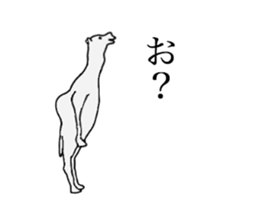 everyday camel sticker #9226217