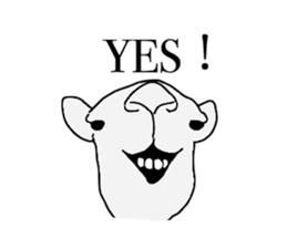 everyday camel sticker #9226221