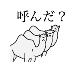 everyday camel sticker #9226228