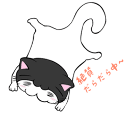 nekokaburin sticker #9226996