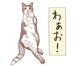 Strange pose cat 6 sticker #9227432