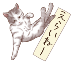 Strange pose cat 6 sticker #9227433