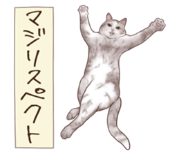 Strange pose cat 6 sticker #9227435