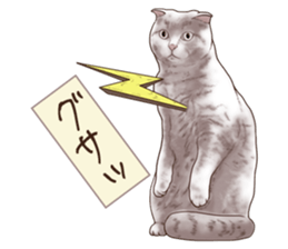 Strange pose cat 6 sticker #9227437