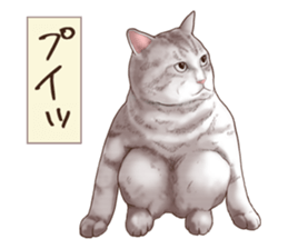 Strange pose cat 6 sticker #9227439