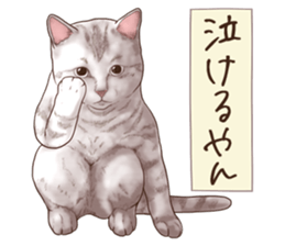 Strange pose cat 6 sticker #9227440