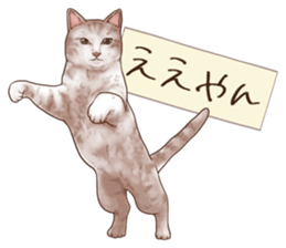 Strange pose cat 6 sticker #9227441