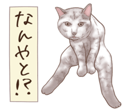 Strange pose cat 6 sticker #9227443
