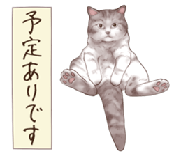 Strange pose cat 6 sticker #9227444