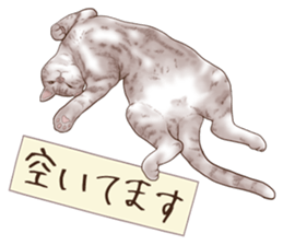 Strange pose cat 6 sticker #9227445