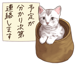 Strange pose cat 6 sticker #9227447