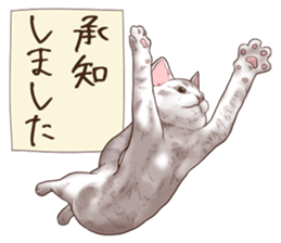 Strange pose cat 6 sticker #9227448