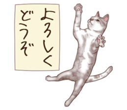 Strange pose cat 6 sticker #9227449