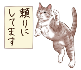 Strange pose cat 6 sticker #9227451