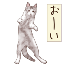 Strange pose cat 6 sticker #9227452