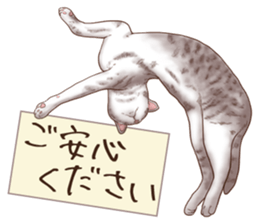 Strange pose cat 6 sticker #9227454