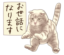 Strange pose cat 6 sticker #9227455