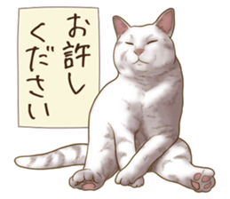 Strange pose cat 6 sticker #9227456