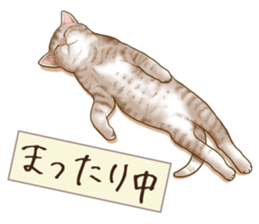 Strange pose cat 6 sticker #9227460