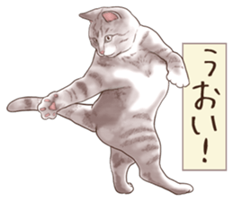 Strange pose cat 6 sticker #9227465