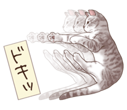 Strange pose cat 6 sticker #9227467
