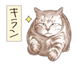 Strange pose cat 6 sticker #9227469