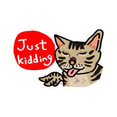 Two cats- Cola and Chocolate