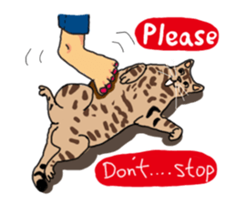 Two cats- Cola and Chocolate sticker #9228034