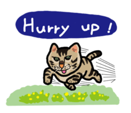 Two cats- Cola and Chocolate sticker #9228038