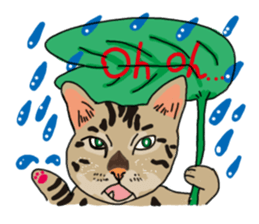 Two cats- Cola and Chocolate sticker #9228041