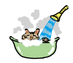 Two cats- Cola and Chocolate sticker #9228042