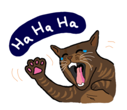 Two cats- Cola and Chocolate sticker #9228044