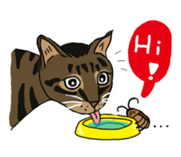 Two cats- Cola and Chocolate sticker #9228045