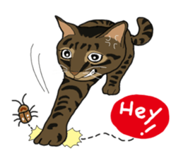 Two cats- Cola and Chocolate sticker #9228046